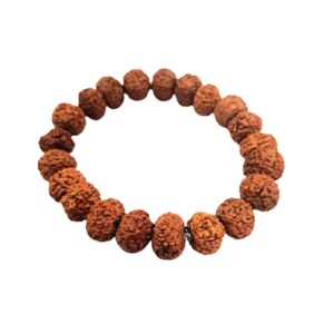 Soultheory 6 Mukhi Rudraksha Nepali Bracelet for Meditation, Protection, and Inner Strength