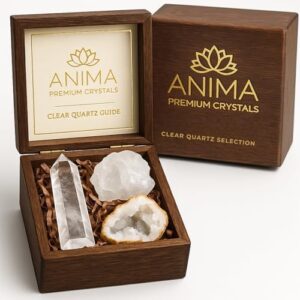 Anima Premium Clear Quartz Crystal Set