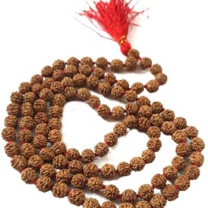 BETTERTHAN EXPECTED 2,3,4,5,6,7 Mukhi + Ganesh Rudraksh & Stone Kali MAA Pendant, Lord Shiva Crystal & Red sandalwood Beads mala